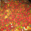 Rambutan