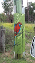 Crimson Rosella on Bayliss