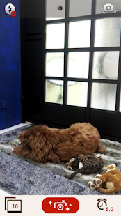 GIF Maker Screenshot