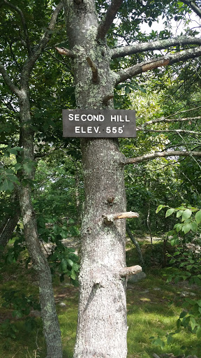 Second Hill Summit