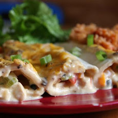 Creamy Chicken Enchiladas