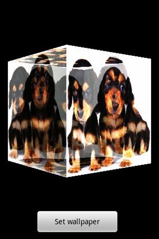 3D cute dog A23