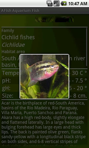 免費下載書籍APP|Aquarium fish. app開箱文|APP開箱王