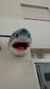 El Medano Shark