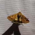Burnet Companion