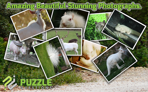 How to mod Albino Animals Puzzles 3.1.5 apk for android