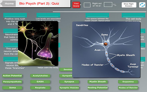 Psyc Test Hero Tablet