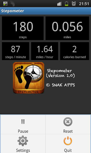 Stepometer - Pedometer App