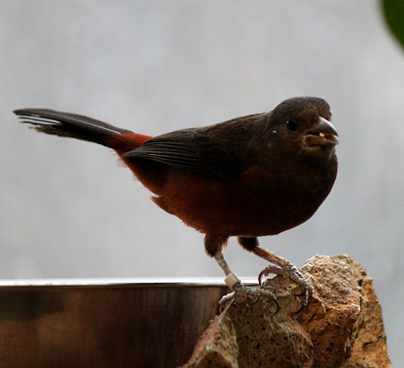 Spotting Image 1