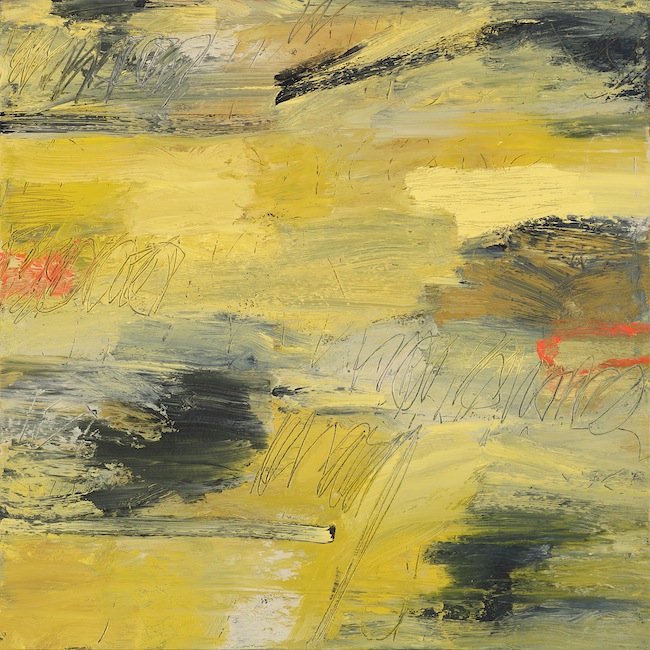 <p>
	<strong>Field Notes V</strong><br />
	Oil on canvas<br />
	20&rdquo; x 20&rdquo;<br />
	2012<br />
	Private collection, Kelowna</p>
