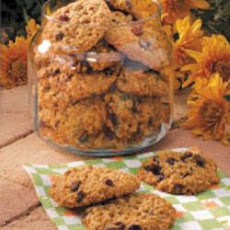 Cranberry Oat Yummies