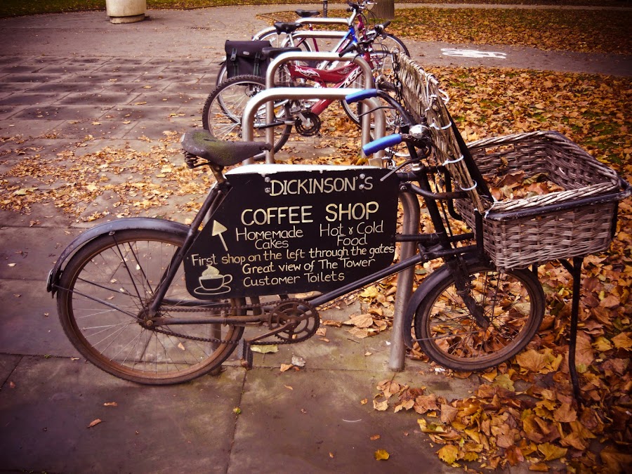 Coffee Bike by Alex Cruceru - Artistic Objects Other Objects
