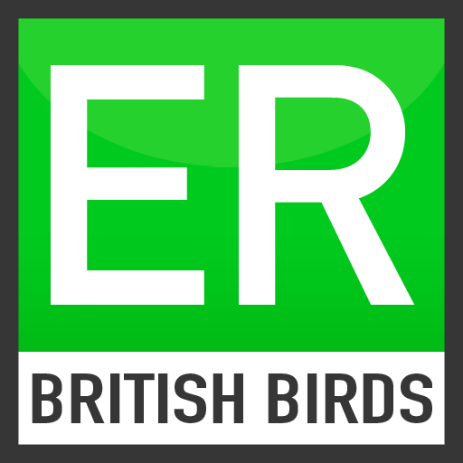 Easy Recorder British Birds LOGO-APP點子