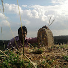 TusharKamthe