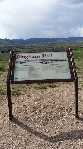 Bingham Hill