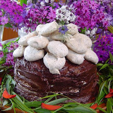 Chocolate Meringue Cake