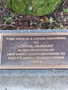 Carol Murray Memorial Tree