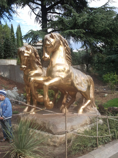 Gold Horses
