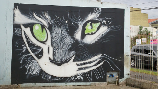 Gato dos Olhos Verdes