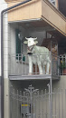 Kuh auf Balkon