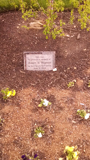 Robert B Wegman Memorial