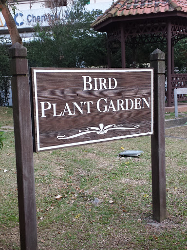 Bird Plant Garden