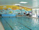 Pool Mural