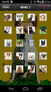 How to get Dog Quiz - Razas de perros 1.0 mod apk for bluestacks