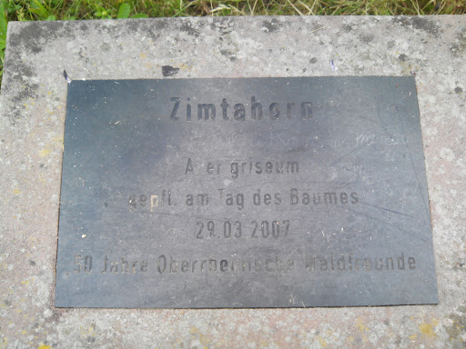 Zimtahorn
