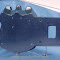 Paystations - GRAY 10 Shield 1