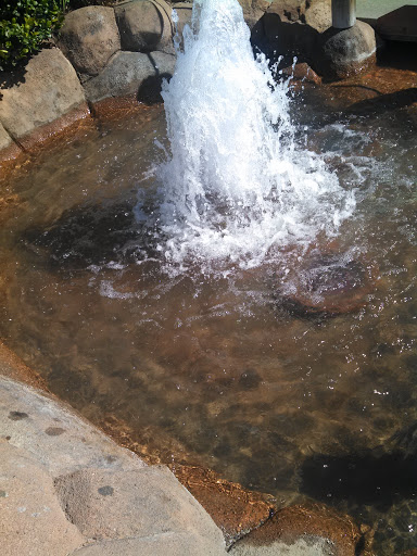 Taylor Fountain 