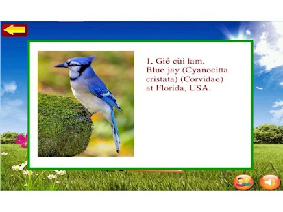 How to download Thiên Nhiên Kỳ Thú Free 1.0 mod apk for android