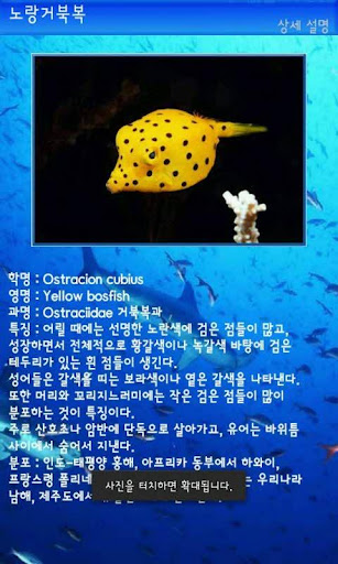 【免費書籍App】DEPC Fish Book-APP點子