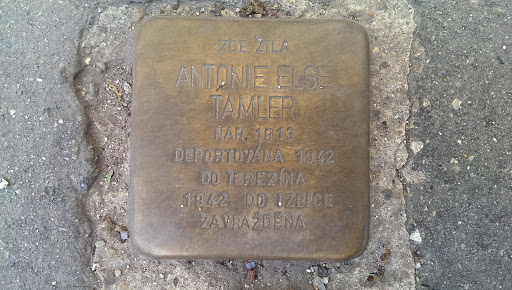 Antonie Else Tamler