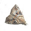 Moth