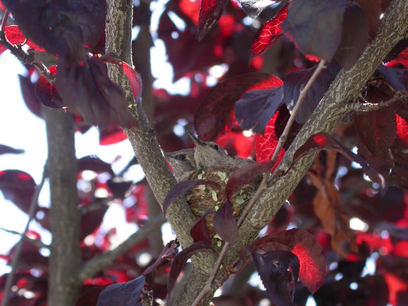 Spotting Image 1
