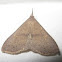 Speckled Renia