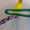 Budgie