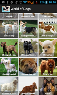How to mod World of Dogs patch 1.0.1 apk for bluestacks