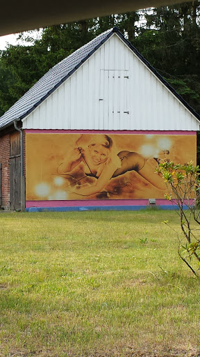 Mural on a Wall