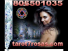 Tarot Madrid Rosa 806501035