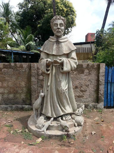 Imagem De São Francisco