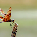 Halloween Pennant