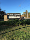 Lamb Of God Lutheran Church
