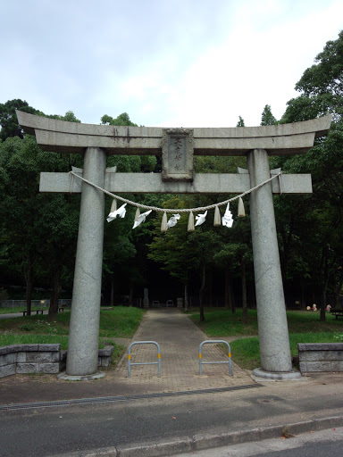 槻田 天疫神社 大鳥居(torii)