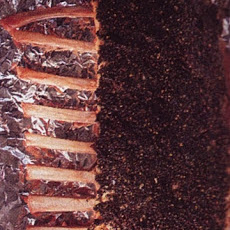 Roast Peppered Rack of Lamb