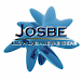 Diseno De Paginas Web Y Publicidad