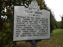 Tulip Grove Historical Sign