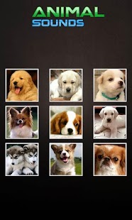 How to mod Animal Sounds Prank 1.2 unlimited apk for pc