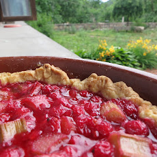 Ruby Red Currant and Rhubarb Tart